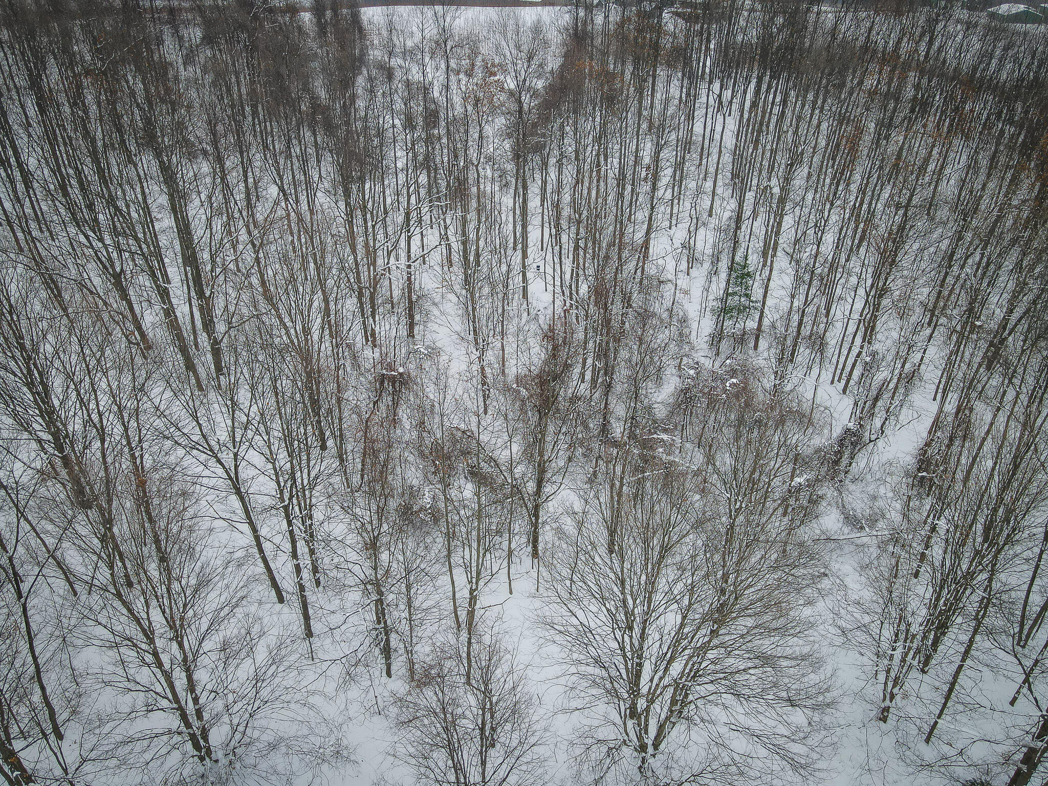 Parcel D West Grant Road Shelby, MI 49455 - Photo 11 of 26 DJI_0070