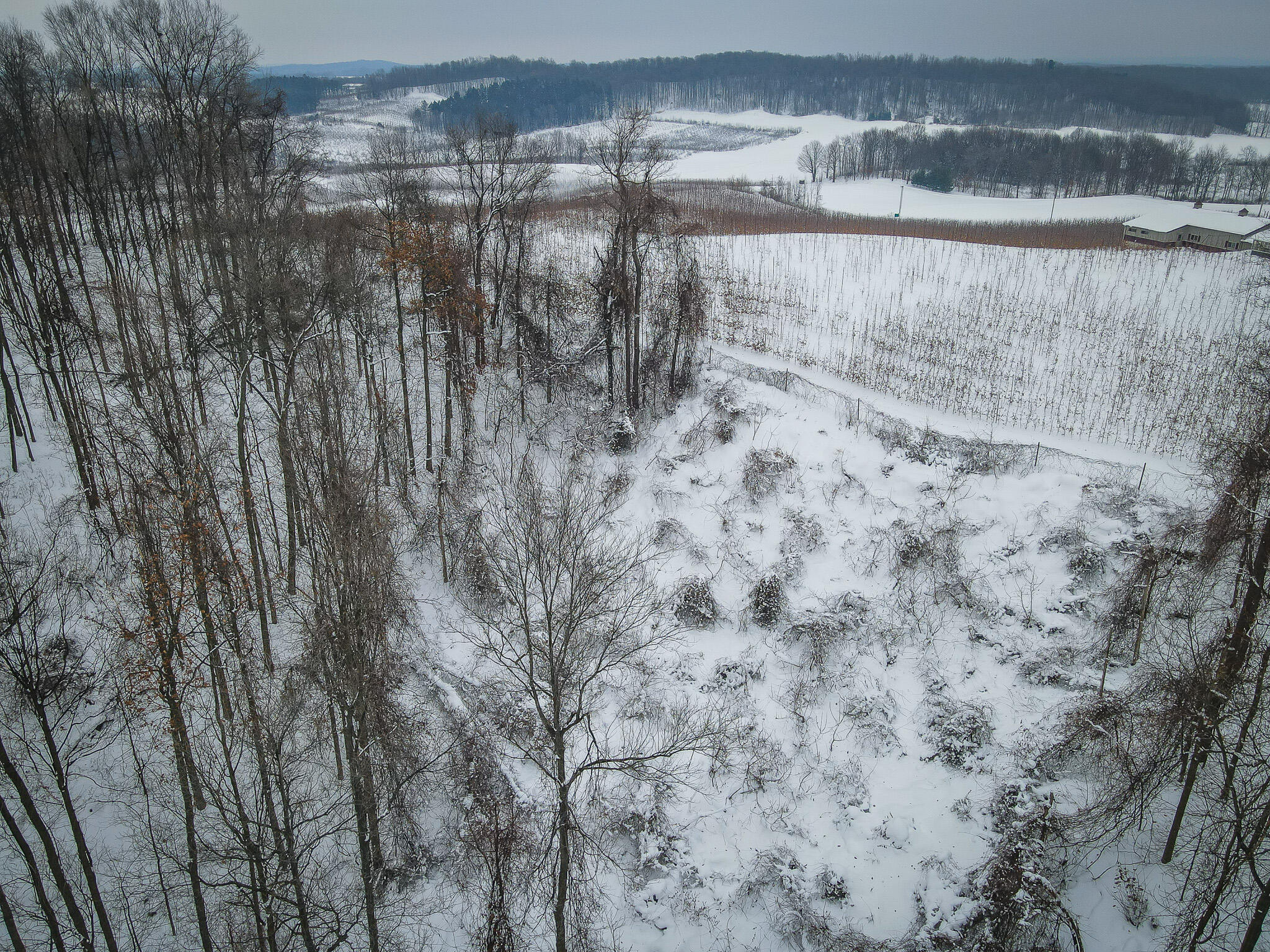 Parcel D West Grant Road Shelby, MI 49455 - Photo 12 of 26 DJI_0075