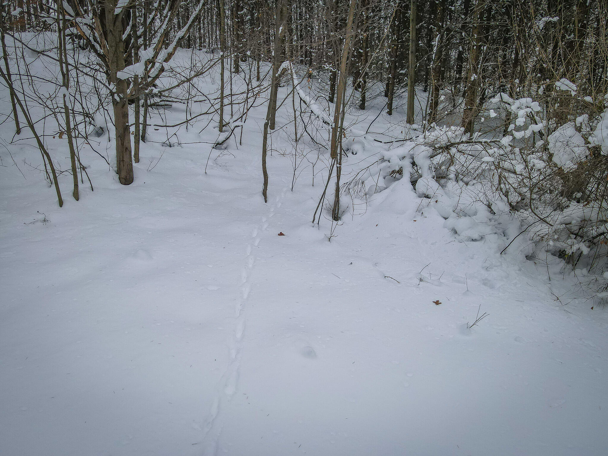Parcel D West Grant Road Shelby, MI 49455 - Photo 13 of 26 DJI_0082