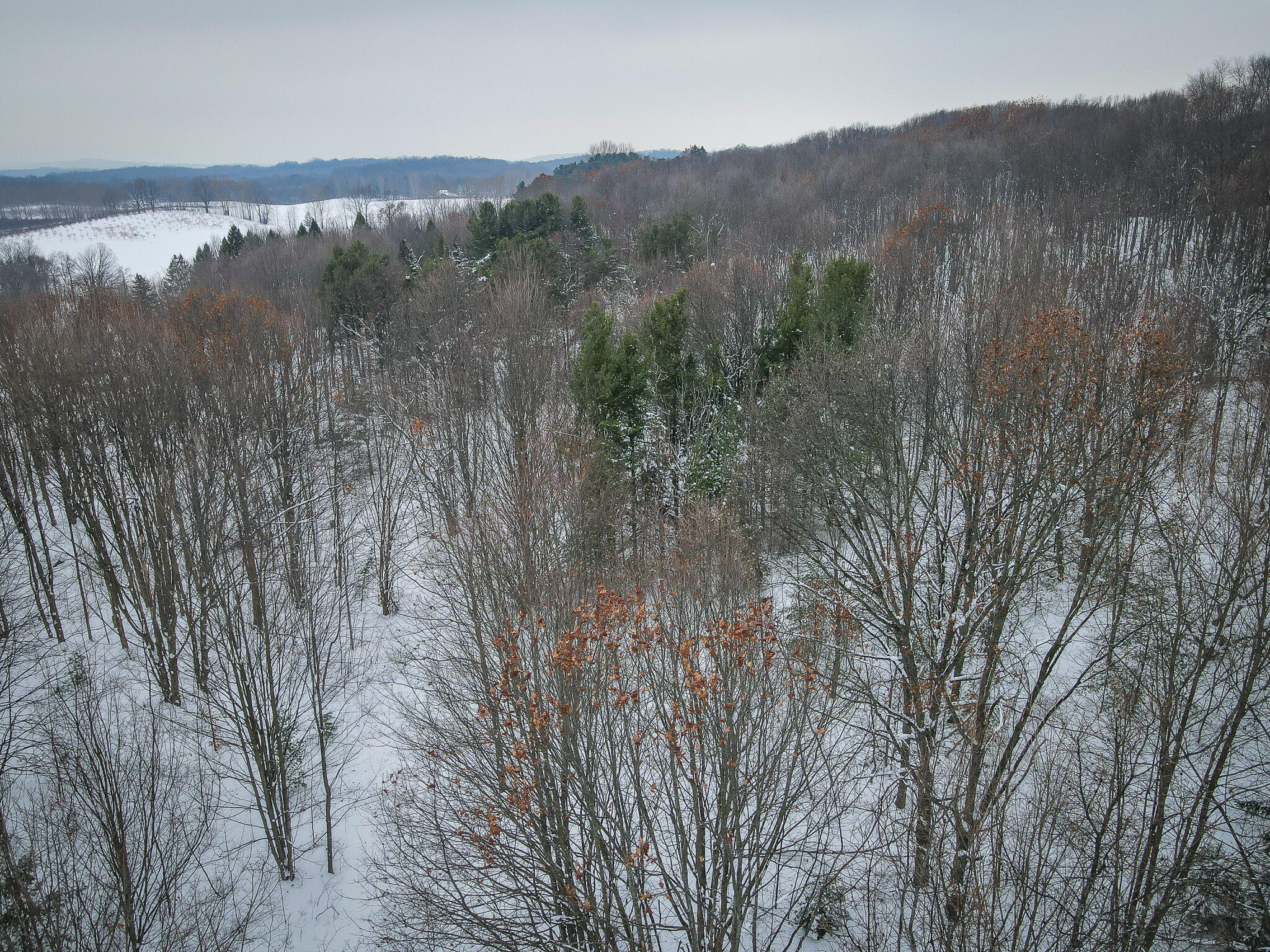 Parcel D West Grant Road Shelby, MI 49455 - Photo 14 of 26 DJI_0086