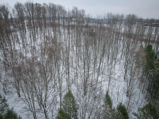 $150,000 | Parcel D West Grant Road, Shelby, MI 49455