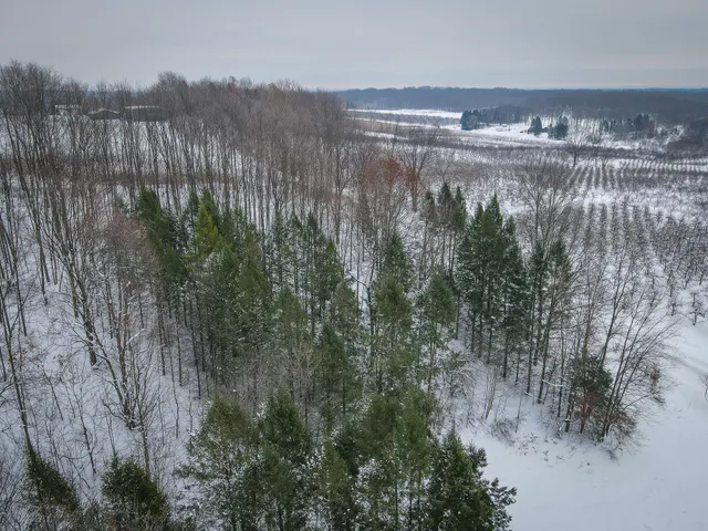 $150,000 | Parcel D West Grant Road, Shelby, MI 49455