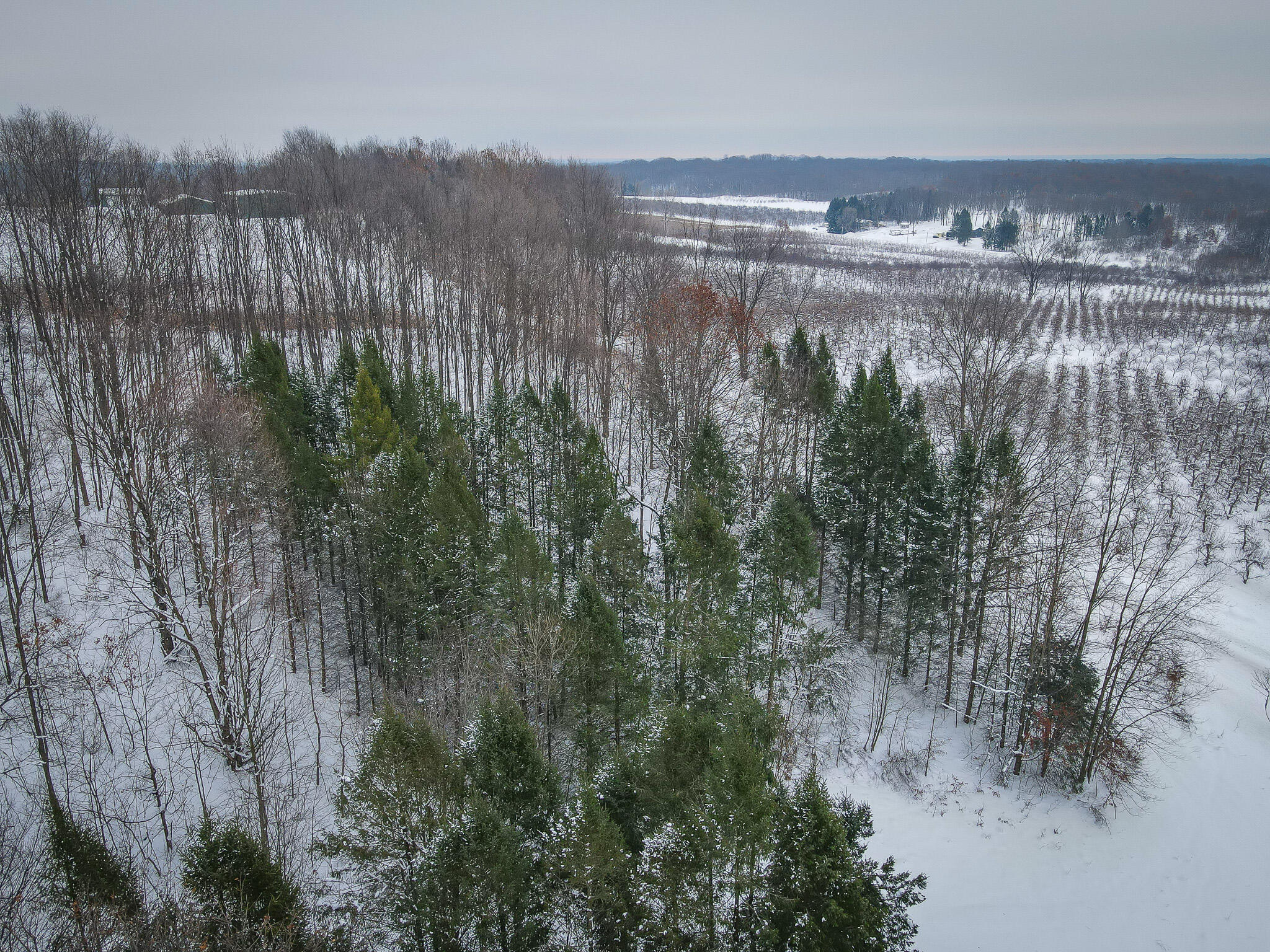 Parcel D West Grant Road Shelby, MI 49455 - Photo 16 of 26 DJI_0089