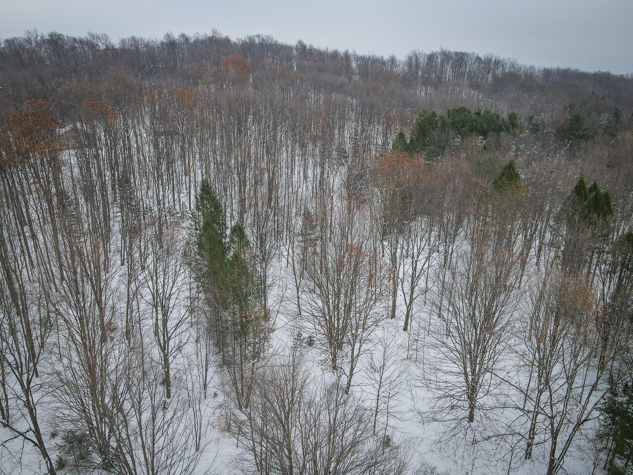 Parcel D West Grant Road Shelby, MI 49455 - Photo 18 of 26 DJI_0096
