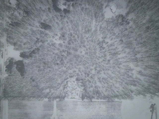 $150,000 | Parcel D West Grant Road, Shelby, MI 49455