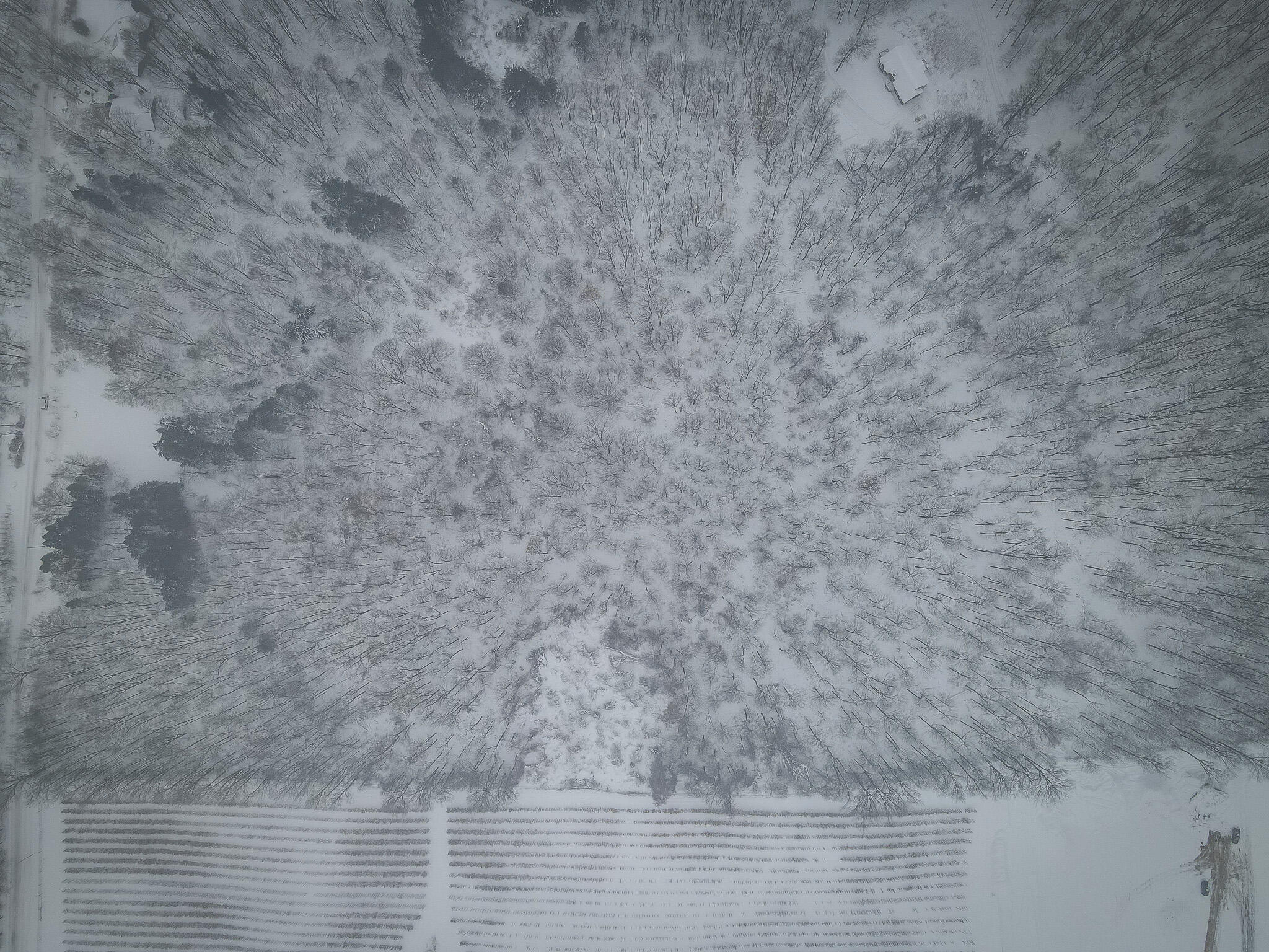 Parcel D West Grant Road Shelby, MI 49455 - Photo 19 of 26 DJI_0098