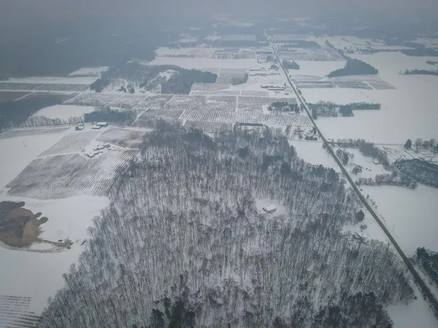 $150,000 | Parcel D West Grant Road, Shelby, MI 49455