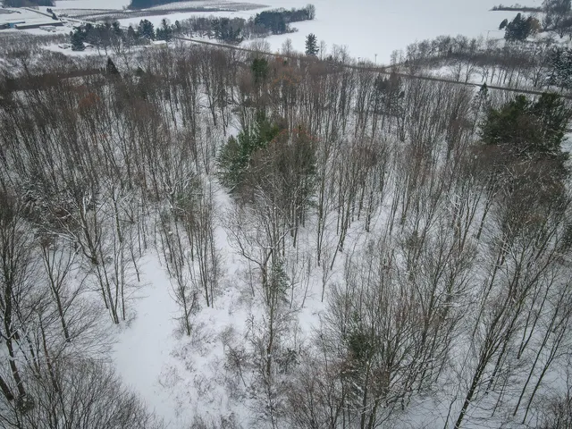 $150,000 | Parcel D West Grant Road, Shelby, MI 49455