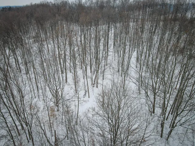 $150,000 | Parcel D West Grant Road, Shelby, MI 49455