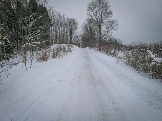 $150,000 | Parcel D West Grant Road, Shelby, MI 49455