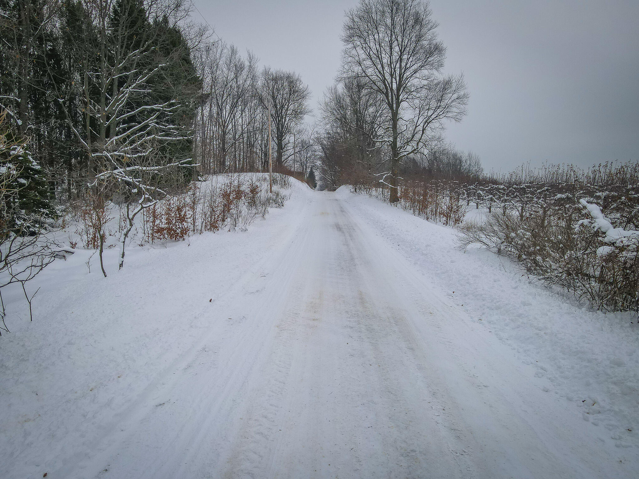 Parcel D West Grant Road Shelby, MI 49455 - Photo 24 of 26 DJI_0105