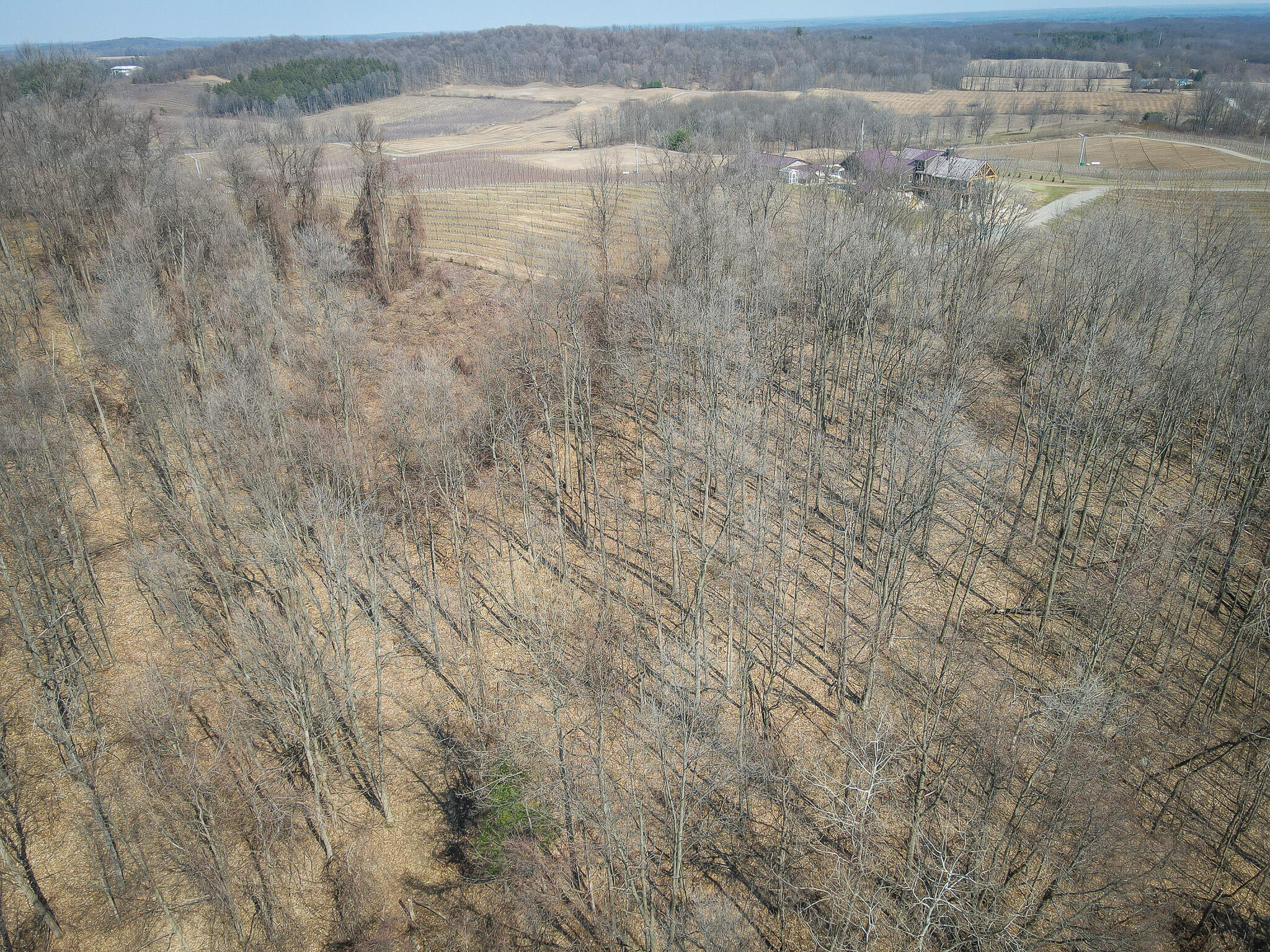 Parcel D West Grant Road New Era, MI 49446 - Photo 29 of 31 DJI_0695