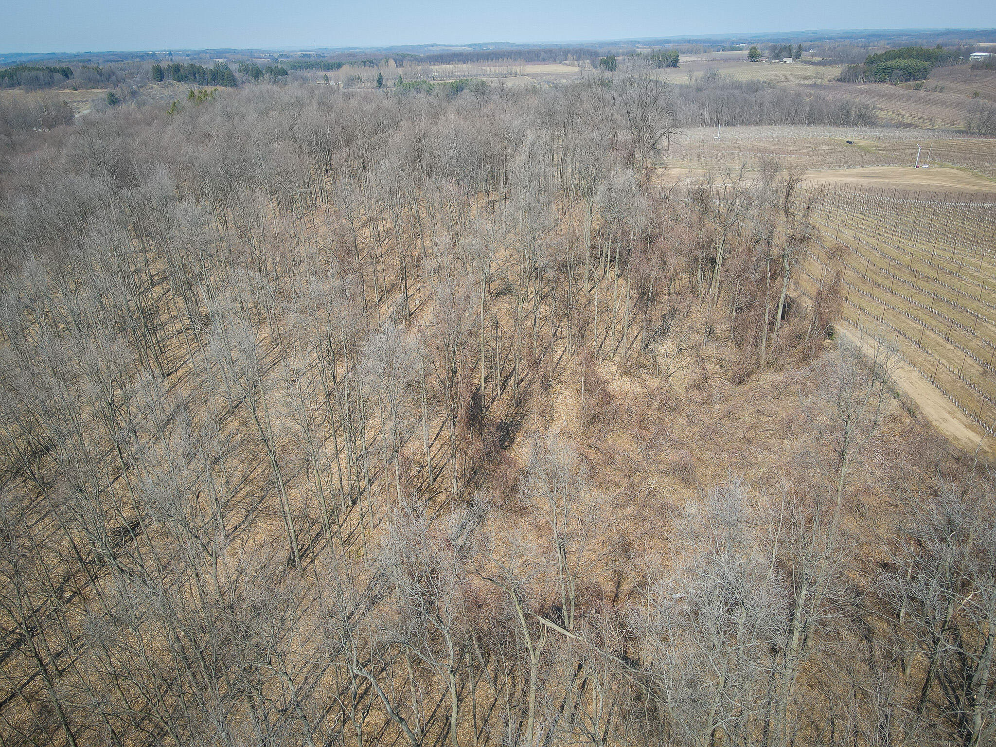 Parcel D West Grant Road New Era, MI 49446 - Photo 30 of 31 DJI_0696