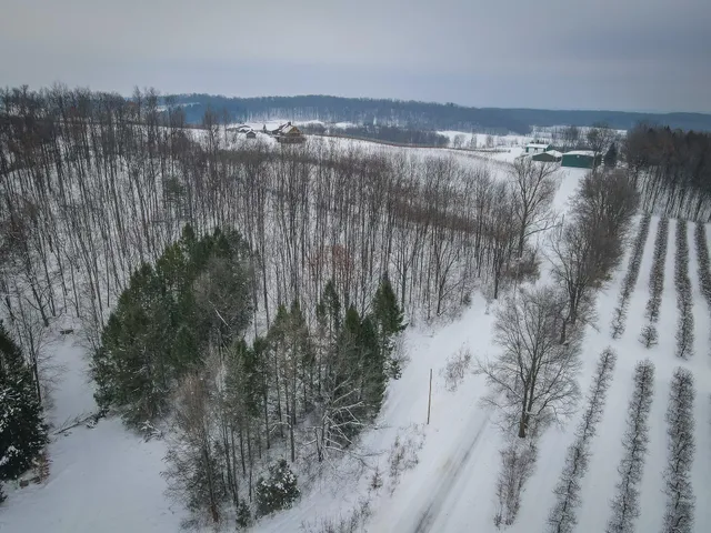 $150,000 | Parcel D West Grant Road, Shelby, MI 49455