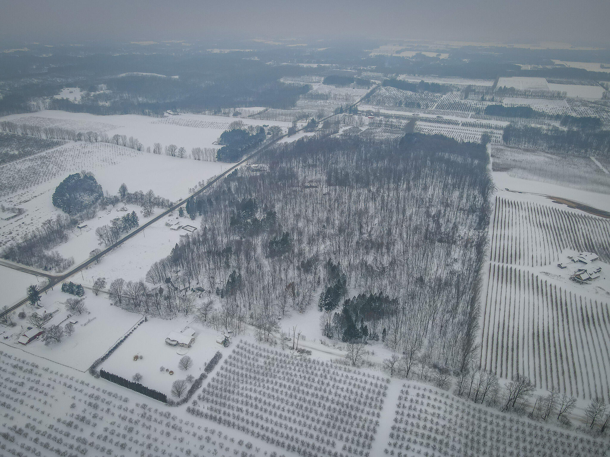 Parcel D West Grant Road Shelby, MI 49455 - Photo 4 of 26 DJI_0059