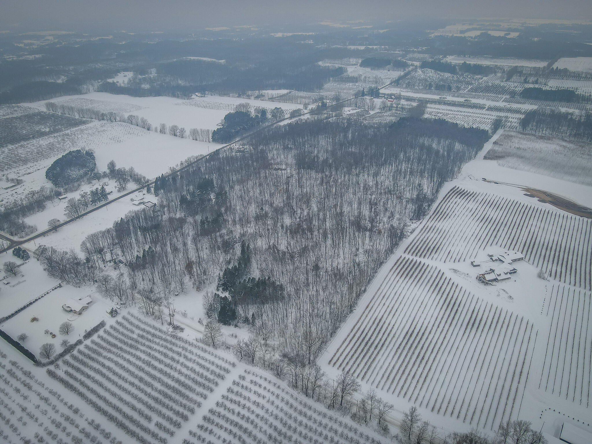 Parcel D West Grant Road Shelby, MI 49455 - Photo 5 of 26 DJI_0060