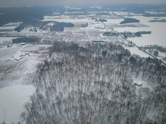 $150,000 | Parcel D West Grant Road, Shelby, MI 49455