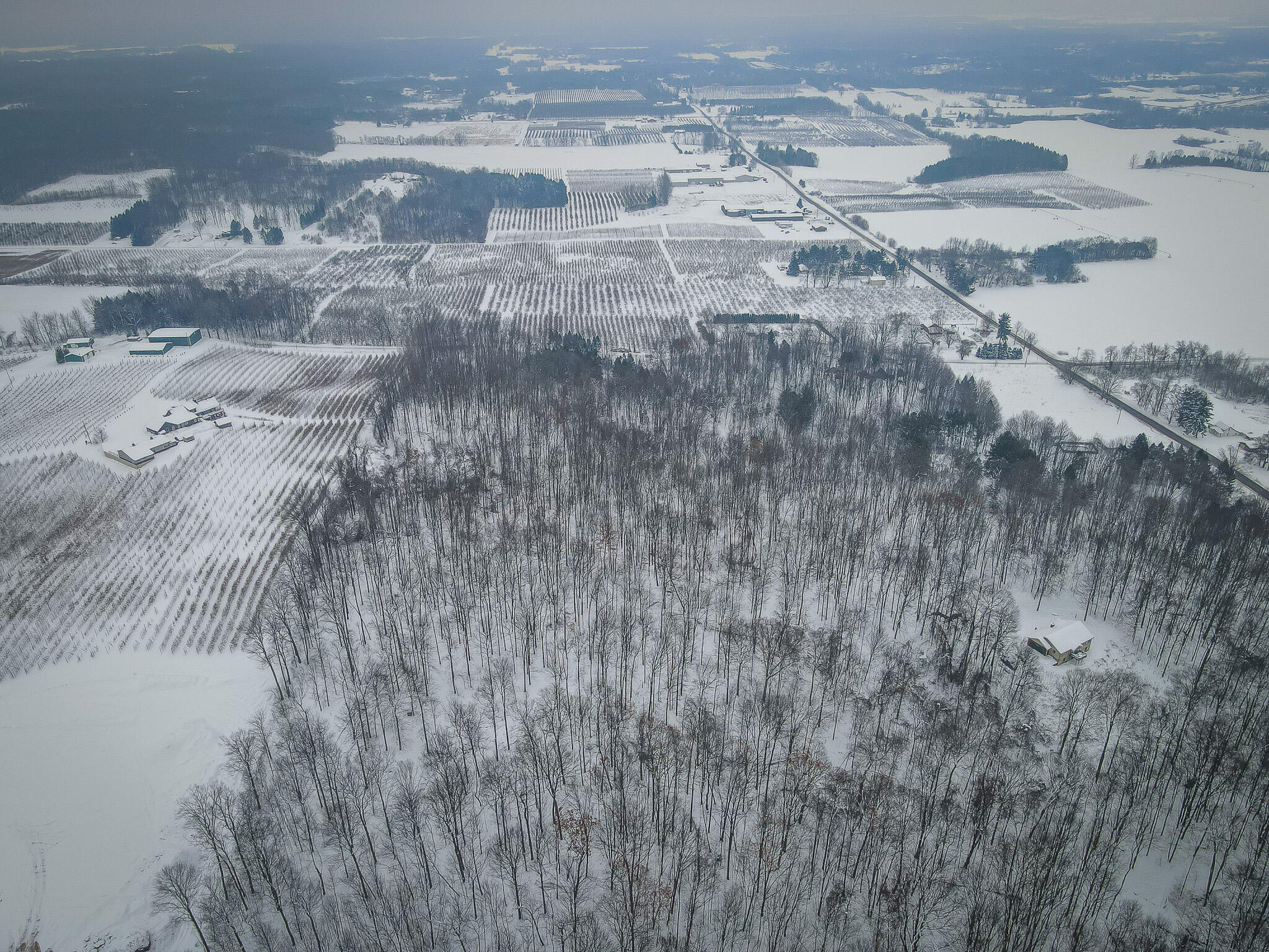 Parcel D West Grant Road Shelby, MI 49455 - Photo 7 of 26 DJI_0062