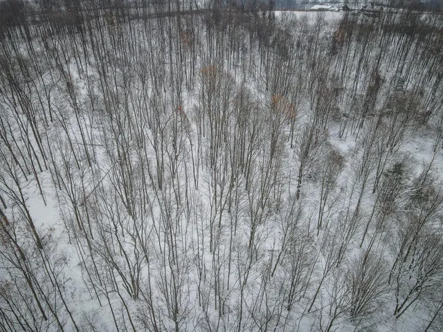 $150,000 | Parcel D West Grant Road, Shelby, MI 49455