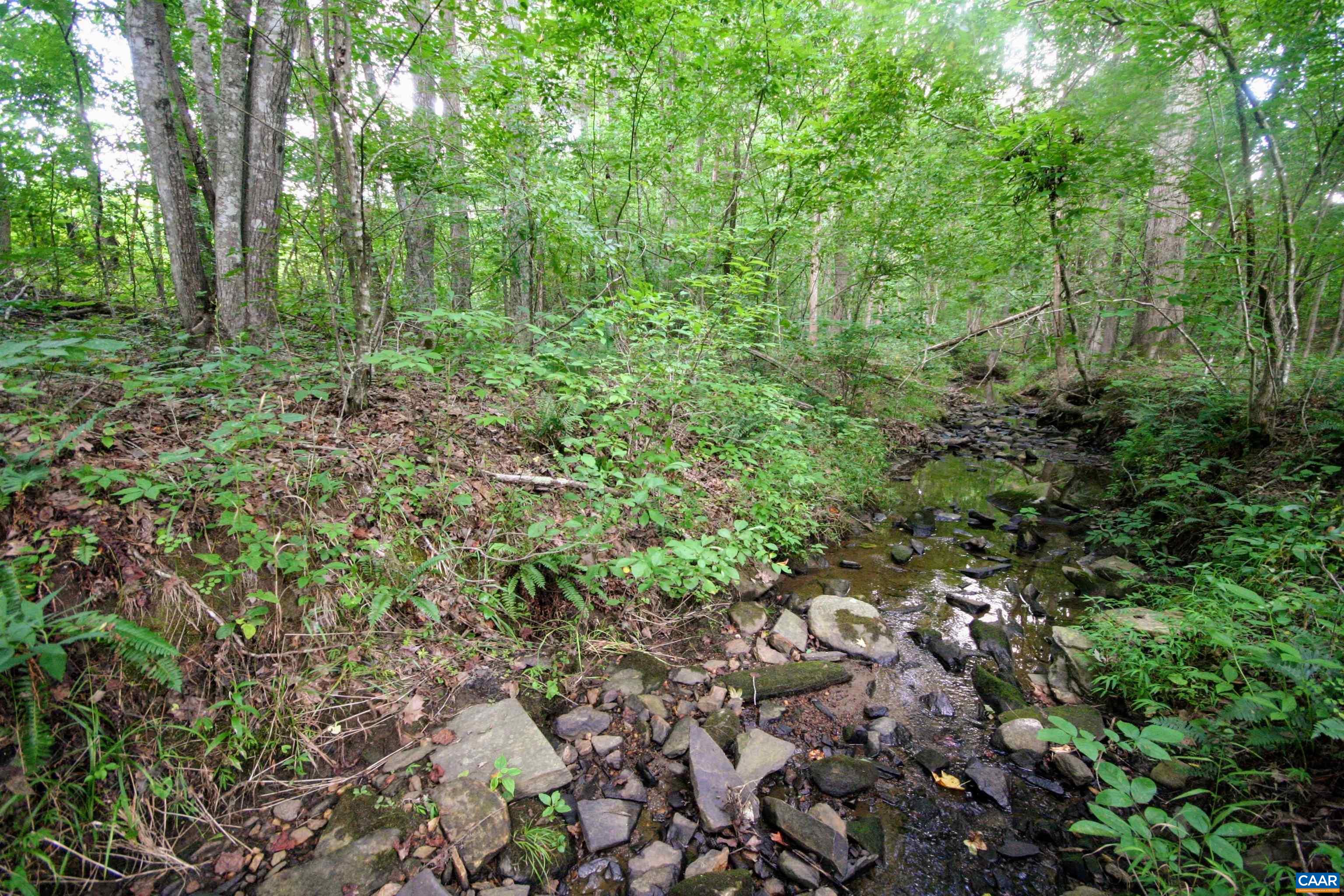 Tba Lot 2 Tba Road New Canton, VA 23123 - Photo 54 of 68 Gallery Image 54
