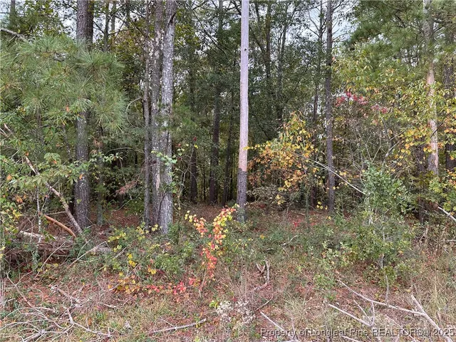 $40,000 | Lot 1 Midway Road, Rowland, NC 28383