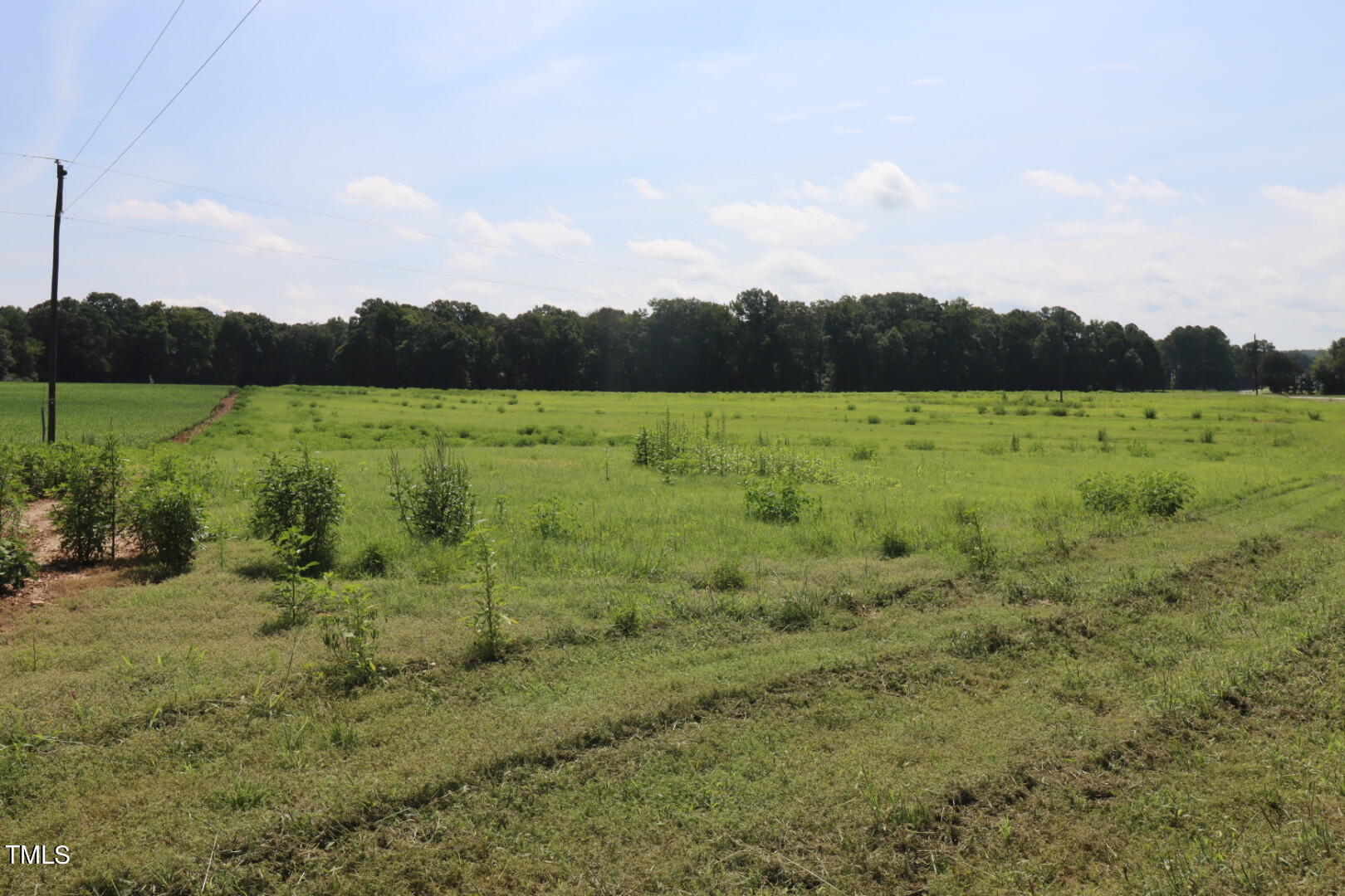 Lot 2 Claude Lewis Road Middlesex, NC 27557 - Photo 4 of 6 IMG_4048
