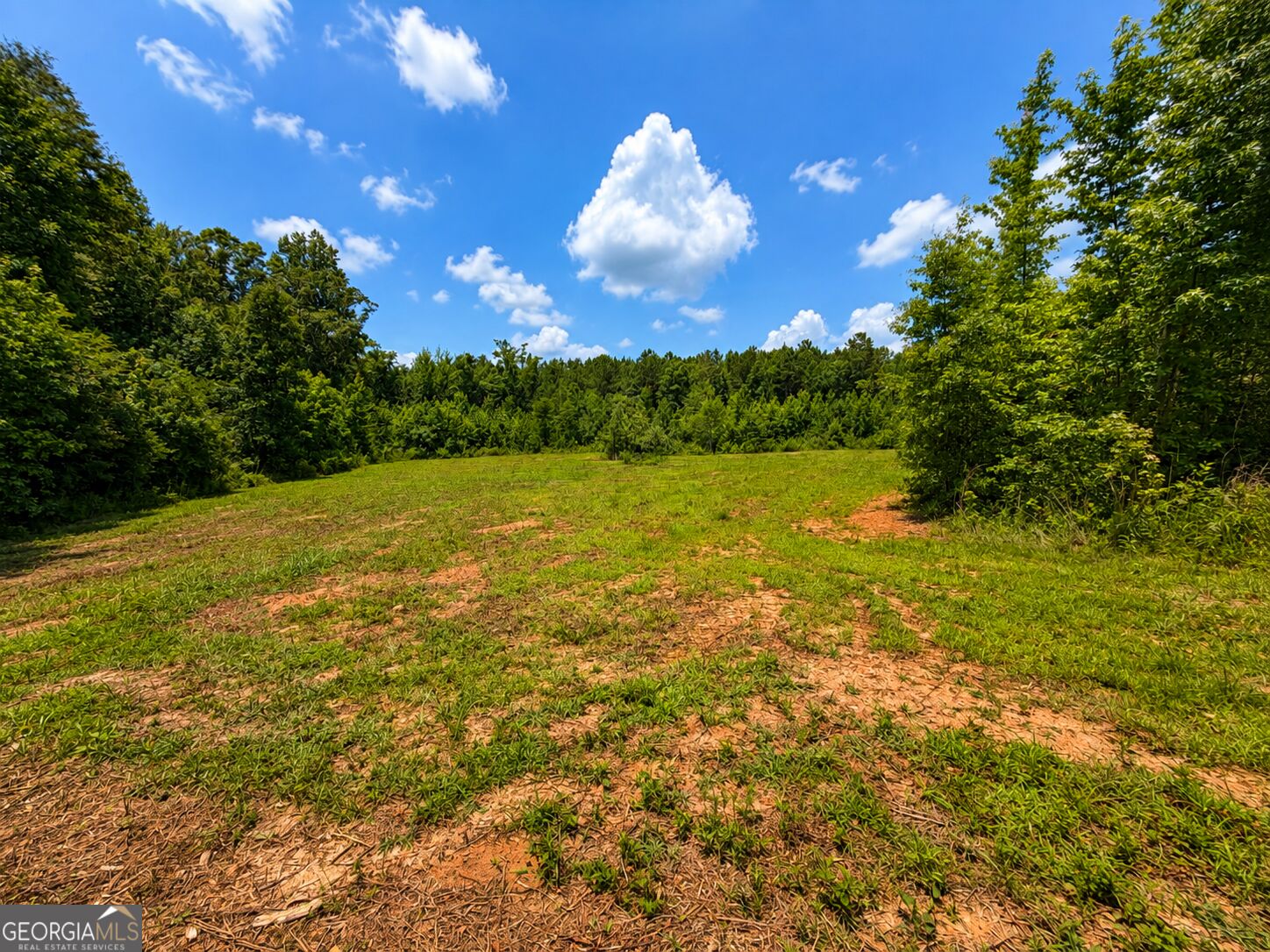 47-acres Cochran Road Madison, GA 30650 - Photo 15 of 22 Gallery Image 15