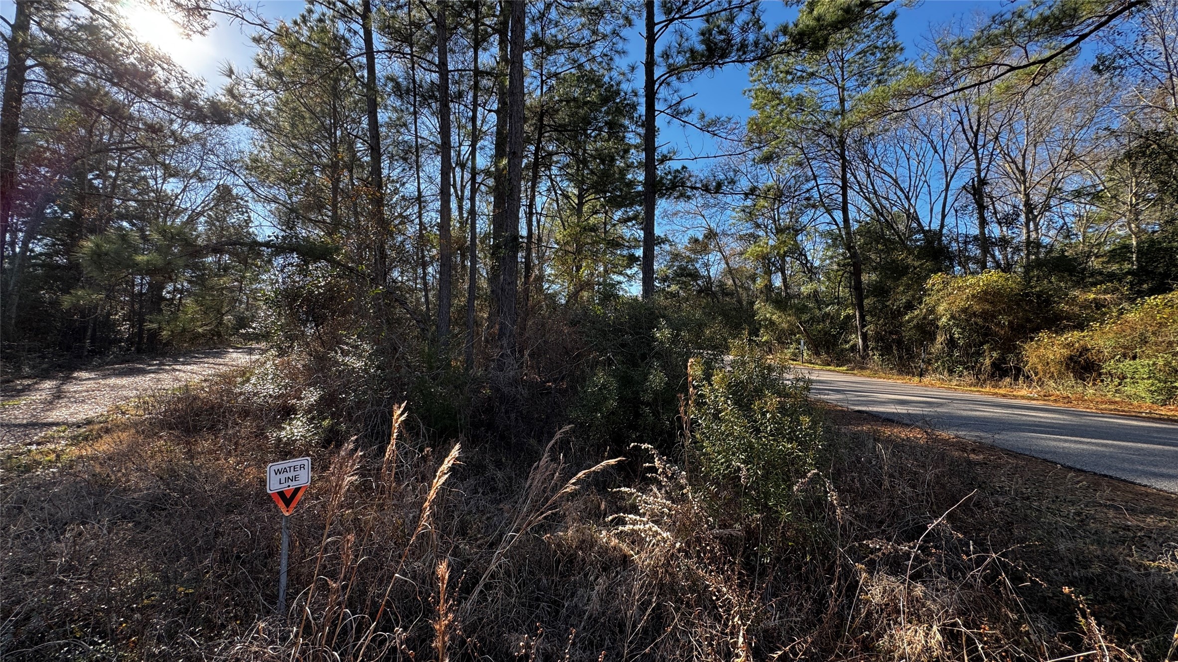 Tbd Buck Lane Hempstead, TX 77445 - Photo 4 of 9 Beautiful 1/3+ Acre Corner Lot with mature trees and sloping landscape, 2 road front access, surrounded by beautiful custom homes