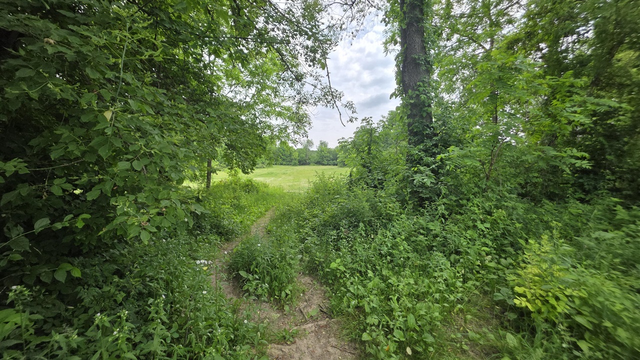 17281 Ely Road Manchester, MI 48158 - Photo 83 of 90