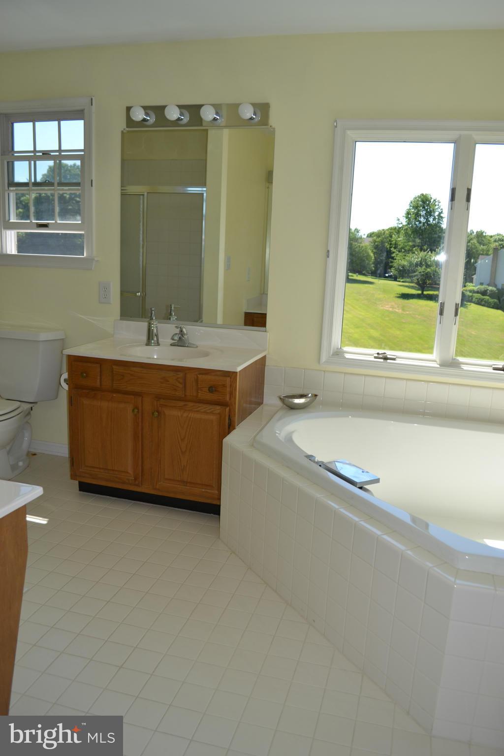 14 Farm Ridge Court Baldwin, MD 21013 - Photo 21 of 30 Bath (Master)