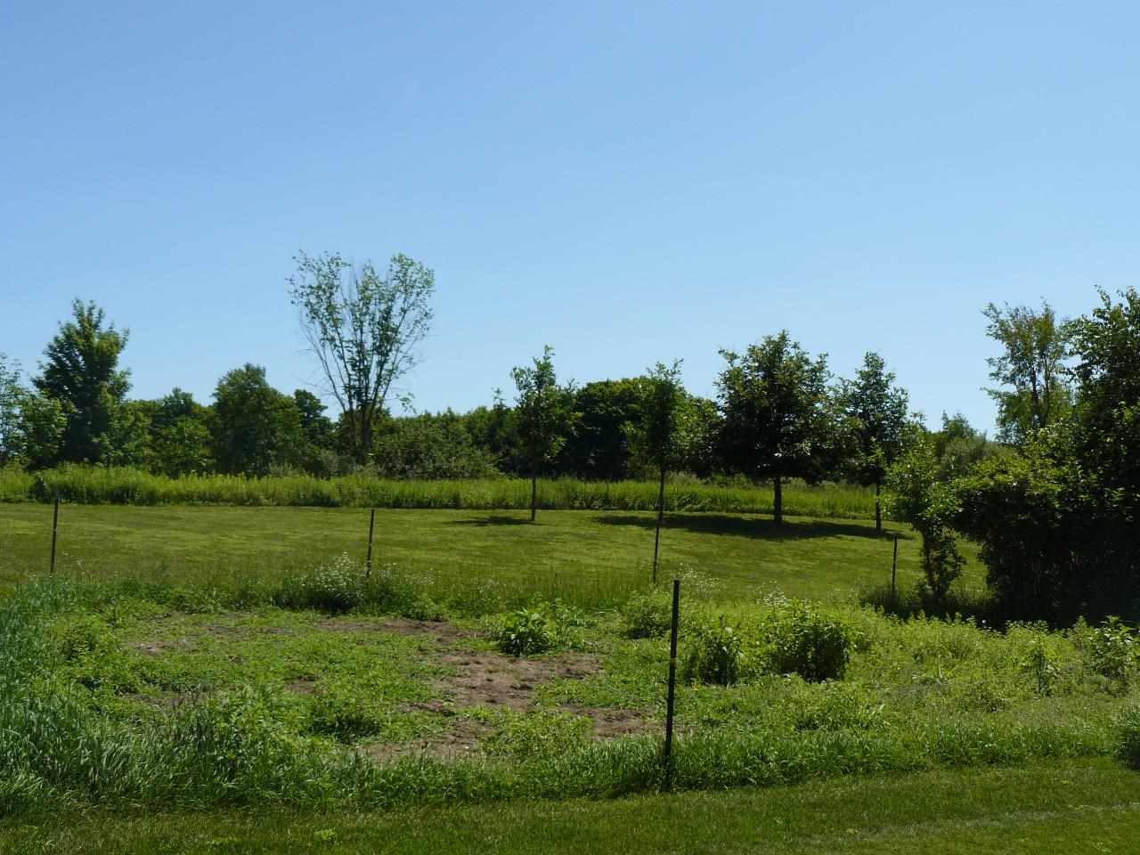 7993 Schell Road Buckley, MI 49620 - Photo 39 of 44 1787903-38.JPG