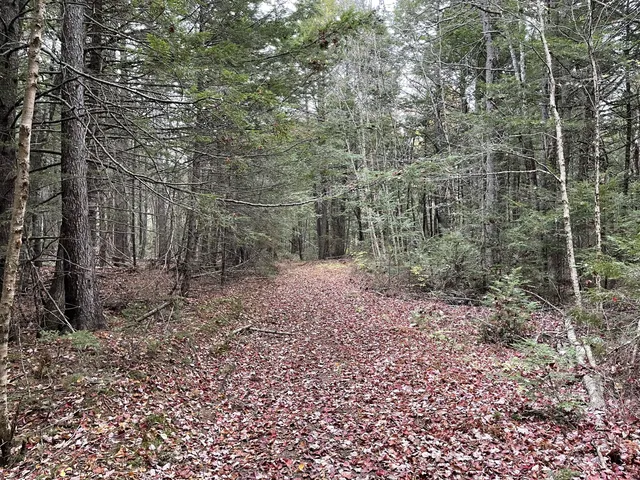$34,900 | Lot 3 West B W Branch Road, Ellsworth, ME 04605