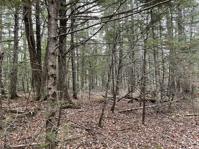 $34,900 | Lot 3 West B W Branch Road, Ellsworth, ME 04605
