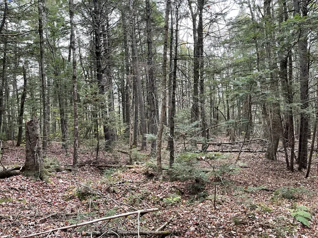 $34,900 | Lot 3 West B W Branch Road, Ellsworth, ME 04605