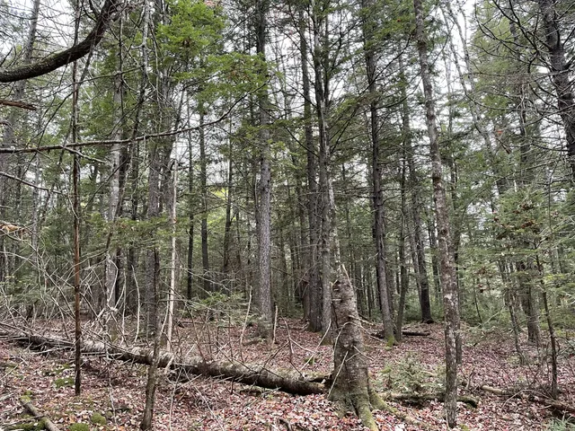 $34,900 | Lot 3 West B W Branch Road, Ellsworth, ME 04605