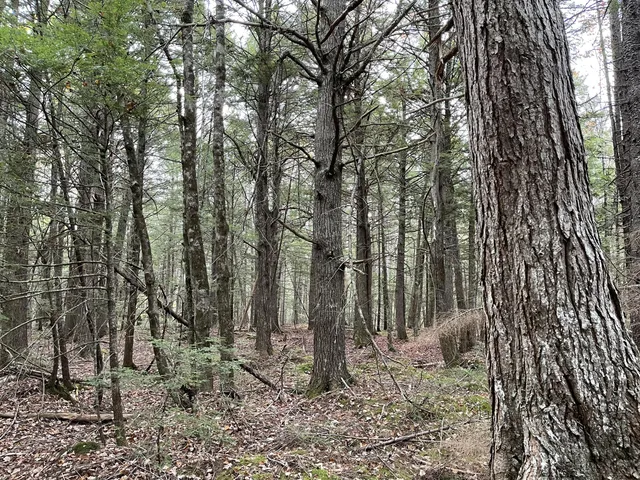 $34,900 | Lot 3 West B W Branch Road, Ellsworth, ME 04605