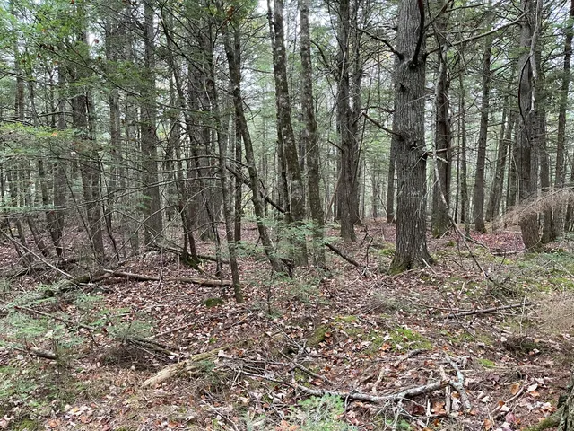 $34,900 | Lot 3 West B W Branch Road, Ellsworth, ME 04605
