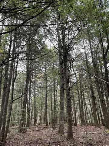 $34,900 | Lot 3 West B W Branch Road, Ellsworth, ME 04605