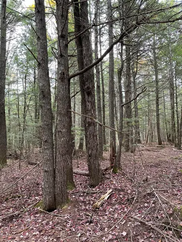 $34,900 | Lot 3 West B W Branch Road, Ellsworth, ME 04605