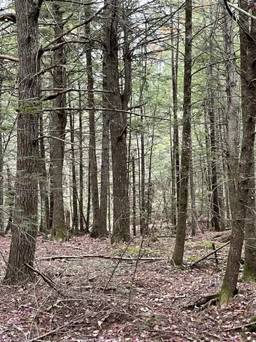 $34,900 | Lot 3 West B W Branch Road, Ellsworth, ME 04605
