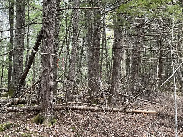 $34,900 | Lot 3 West B W Branch Road, Ellsworth, ME 04605