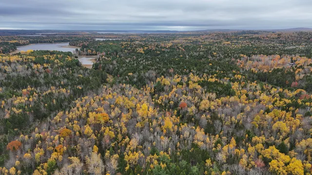 $34,900 | Lot 3 West B W Branch Road, Ellsworth, ME 04605