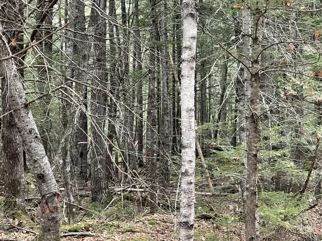 $34,900 | Lot 3 West B W Branch Road, Ellsworth, ME 04605
