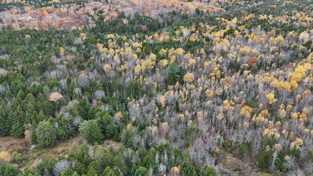 $34,900 | Lot 3 West B W Branch Road, Ellsworth, ME 04605