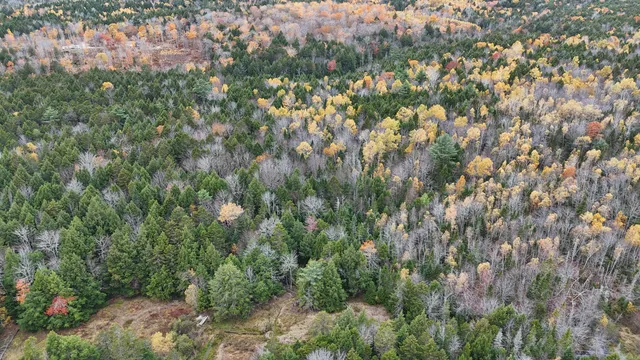 $34,900 | Lot 3 West B W Branch Road, Ellsworth, ME 04605