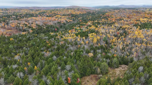 $34,900 | Lot 3 West B W Branch Road, Ellsworth, ME 04605