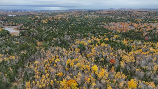 $34,900 | Lot 3 West B W Branch Road, Ellsworth, ME 04605