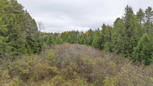 $34,900 | Lot 3 West B W Branch Road, Ellsworth, ME 04605