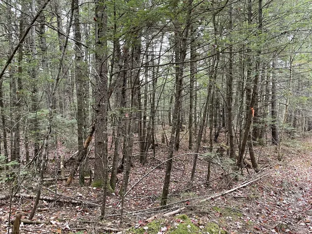 $34,900 | Lot 3 West B W Branch Road, Ellsworth, ME 04605