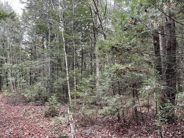 $34,900 | Lot 3 West B W Branch Road, Ellsworth, ME 04605